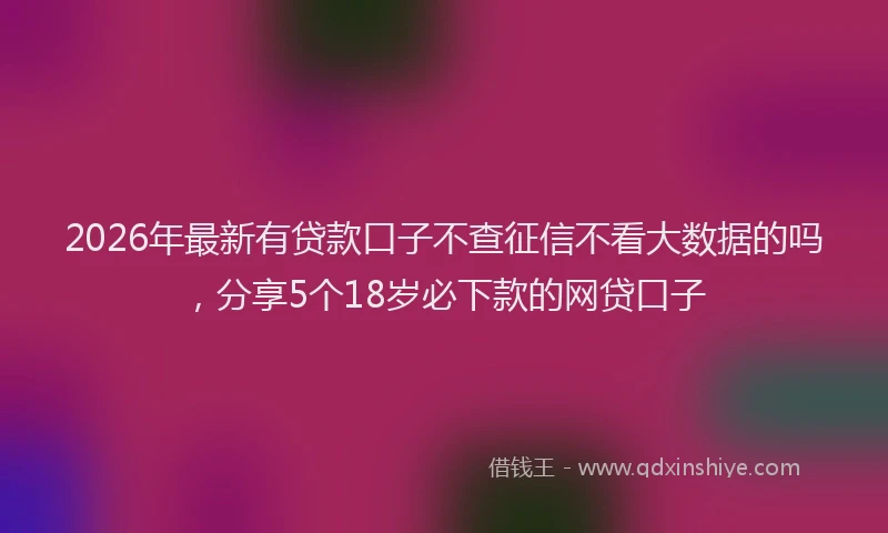 2026年最新有贷款口子不查征信不看大数据的吗，分享5个18岁必下款的网贷口子
