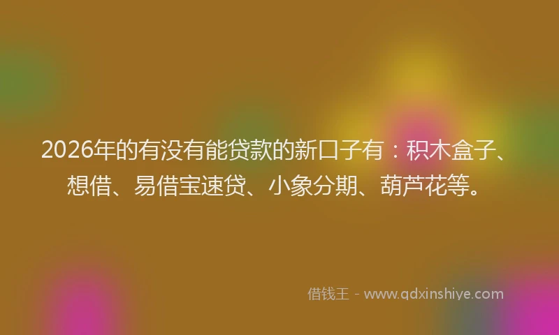 2026年的有没有能贷款的新口子有：积木盒子、想借、易借宝速贷、小象分期、葫芦花等。