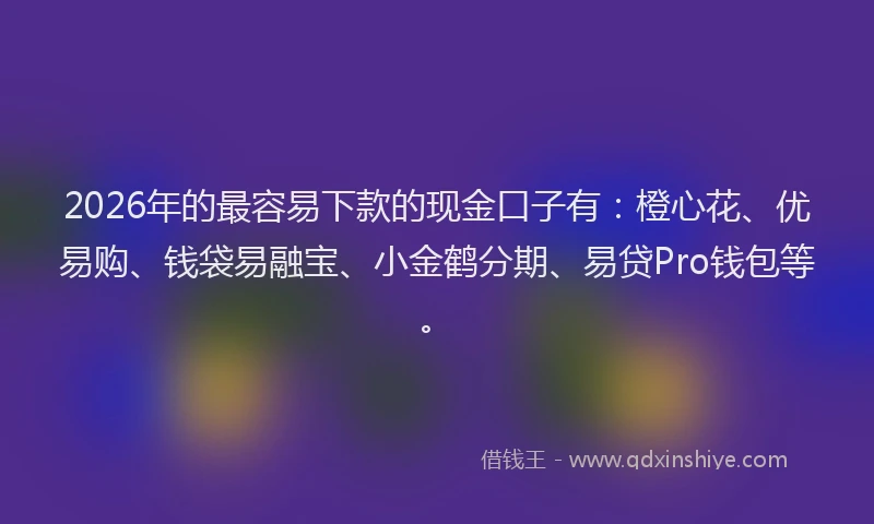 2026年的最容易下款的现金口子有：橙心花、优易购、钱袋易融宝、小金鹤分期、易贷Pro钱包等。