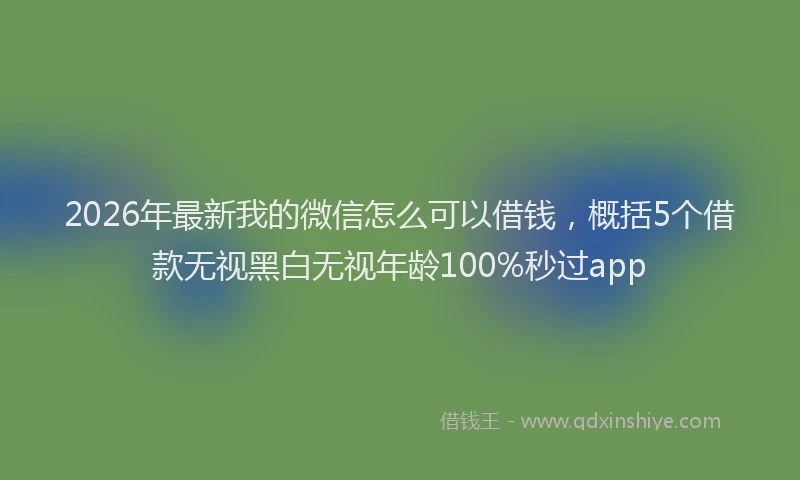 2026年最新我的微信怎么可以借钱，概括5个借款无视黑白无视年龄100%秒过app