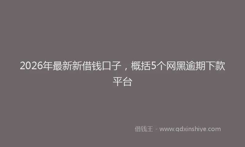 2026年最新新借钱口子，概括5个网黑逾期下款平台