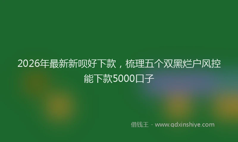 2026年最新新呗好下款，梳理五个双黑烂户风控能下款5000口子