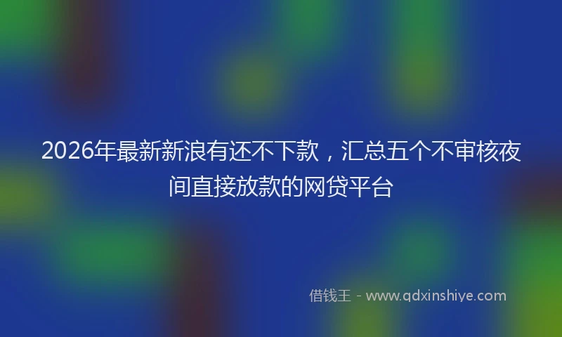 2026年最新新浪有还不下款，汇总五个不审核夜间直接放款的网贷平台