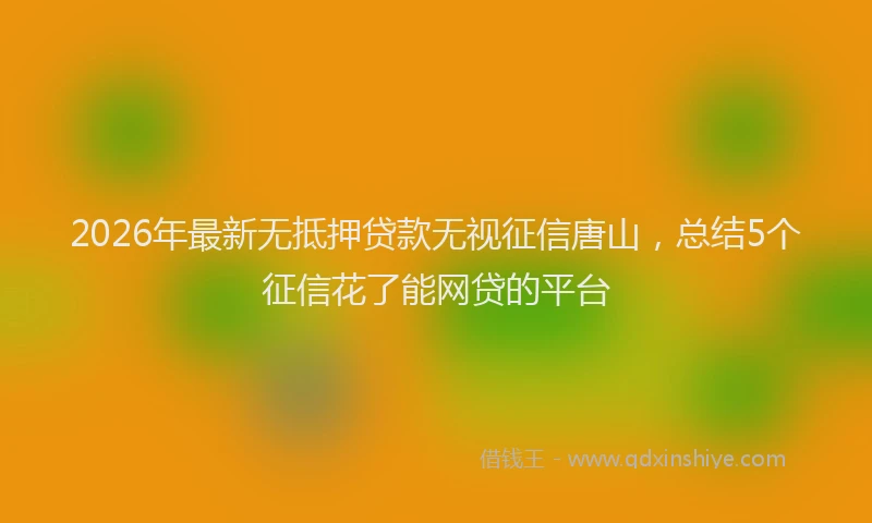 2026年最新无抵押贷款无视征信唐山，总结5个征信花了能网贷的平台