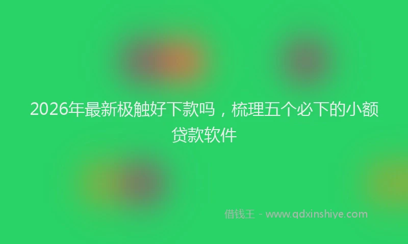 2026年最新极触好下款吗，梳理五个必下的小额贷款软件
