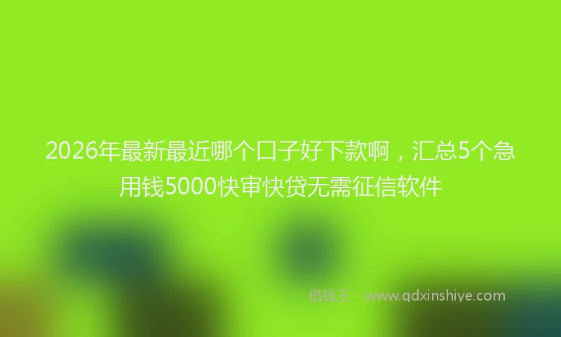 2026年最新最近哪个口子好下款啊，汇总5个急用钱5000快审快贷无需征信软件