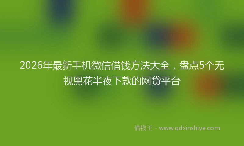 2026年最新手机微信借钱方法大全，盘点5个无视黑花半夜下款的网贷平台