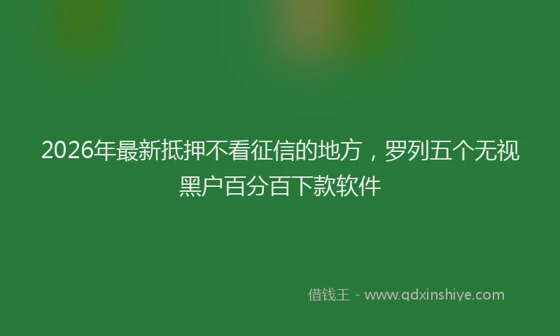 2026年最新抵押不看征信的地方，罗列五个无视黑户百分百下款软件