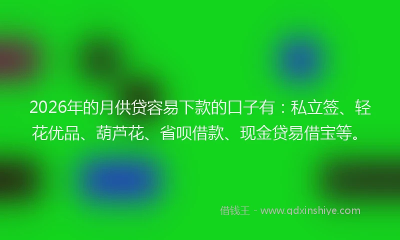 2026年的月供贷容易下款的口子有：私立签、轻花优品、葫芦花、省呗借款、现金贷易借宝等。
