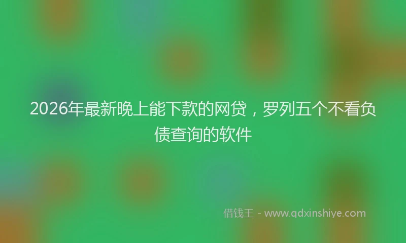 2026年最新晚上能下款的网贷，罗列五个不看负债查询的软件