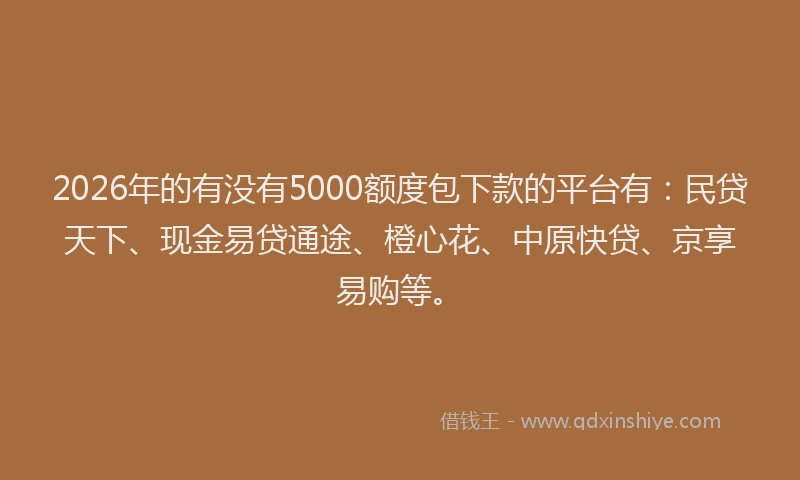 2026年的有没有5000额度包下款的平台有：民贷天下、现金易贷通途、橙心花、中原快贷、京享易购等。