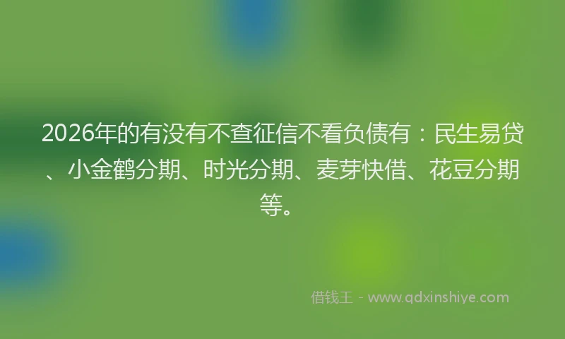 2026年的有没有不查征信不看负债有：民生易贷、小金鹤分期、时光分期、麦芽快借、花豆分期等。