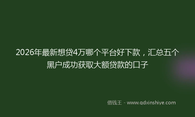 2026年最新想贷4万哪个平台好下款，汇总五个黑户成功获取大额贷款的口子