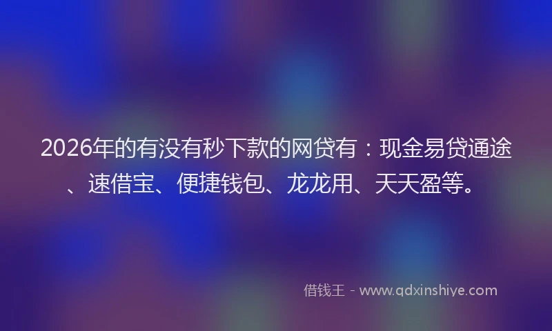 2026年的有没有秒下款的网贷有：现金易贷通途、速借宝、便捷钱包、龙龙用、天天盈等。