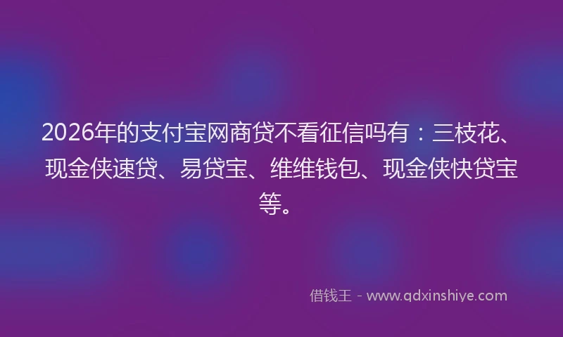 2026年的支付宝网商贷不看征信吗有：三枝花、现金侠速贷、易贷宝、维维钱包、现金侠快贷宝等。