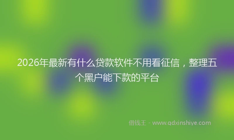 2026年最新有什么贷款软件不用看征信，整理五个黑户能下款的平台