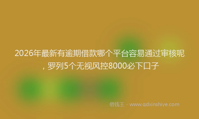 2026年最新有逾期借款哪个平台容易通过审核呢，罗列5个无视风控8000必下口子