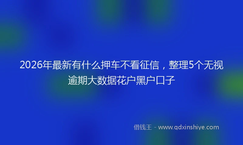 2026年最新有什么押车不看征信，整理5个无视逾期大数据花户黑户口子