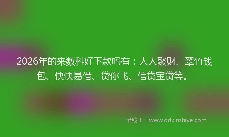 2026年的来数科好下款吗有：人人聚财、翠竹钱包、快快易借、贷你飞、信贷宝贷等。