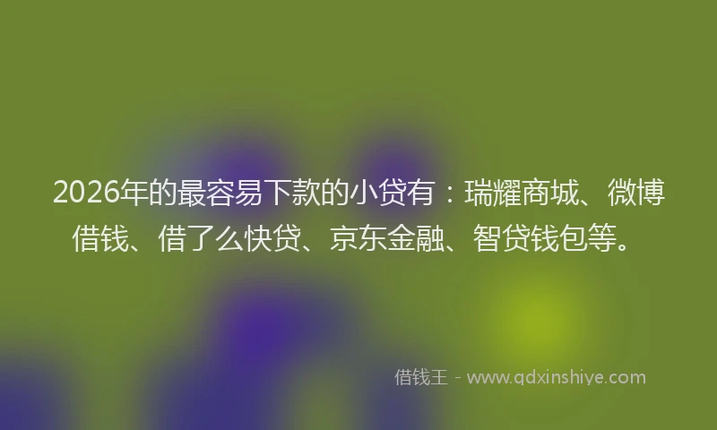2026年的最容易下款的小贷有：瑞耀商城、微博借钱、借了么快贷、京东金融、智贷钱包等。