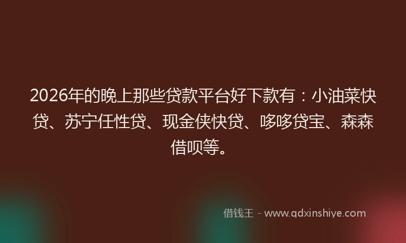 2026年的晚上那些贷款平台好下款有：小油菜快贷、苏宁任性贷、现金侠快贷、哆哆贷宝、森森借呗等。