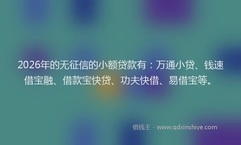 2026年的无征信的小额贷款有：万通小贷、钱速借宝融、借款宝快贷、功夫快借、易借宝等。