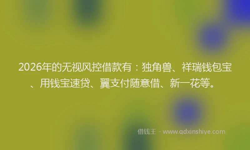 2026年的无视风控借款有：独角兽、祥瑞钱包宝、用钱宝速贷、翼支付随意借、新一花等。