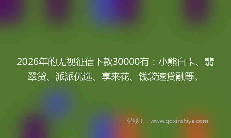 2026年的无视征信下款30000有：小熊白卡、翡翠贷、派派优选、享来花、钱袋速贷融等。