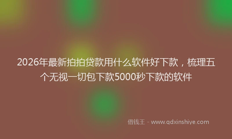 2026年最新拍拍贷款用什么软件好下款，梳理五个无视一切包下款5000秒下款的软件