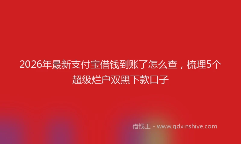 2026年最新支付宝借钱到账了怎么查，梳理5个超级烂户双黑下款口子