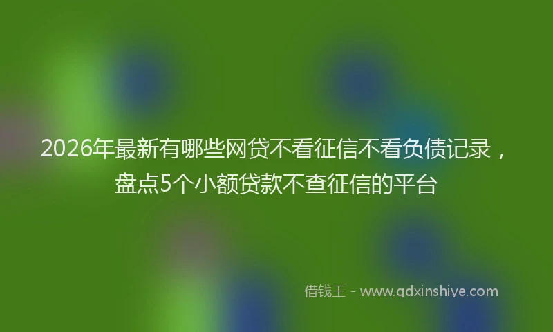 2026年最新有哪些网贷不看征信不看负债记录，盘点5个小额贷款不查征信的平台
