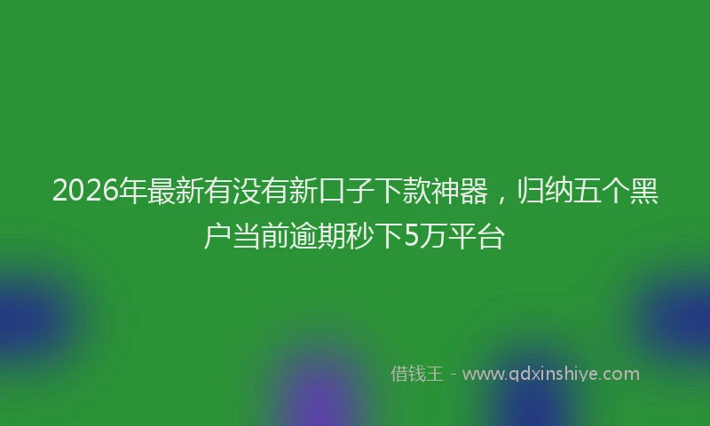 2026年最新有没有新口子下款神器，归纳五个黑户当前逾期秒下5万平台