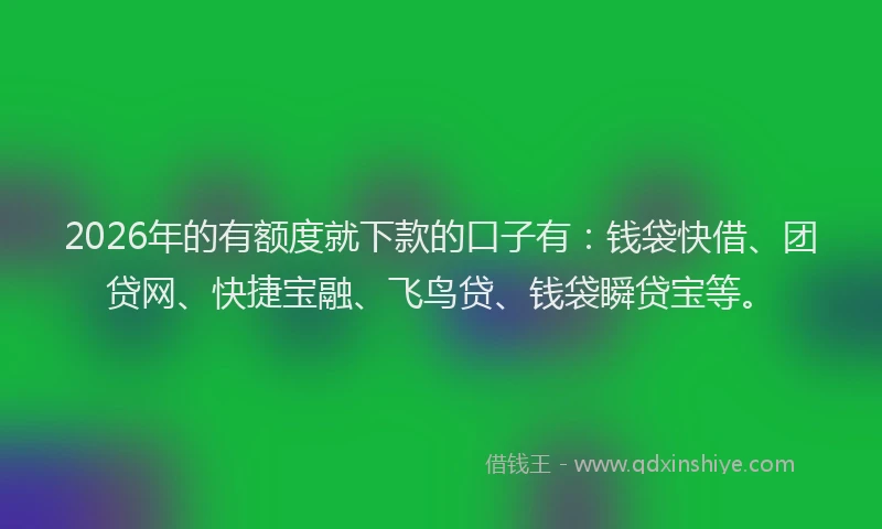 2026年的有额度就下款的口子有：钱袋快借、团贷网、快捷宝融、飞鸟贷、钱袋瞬贷宝等。