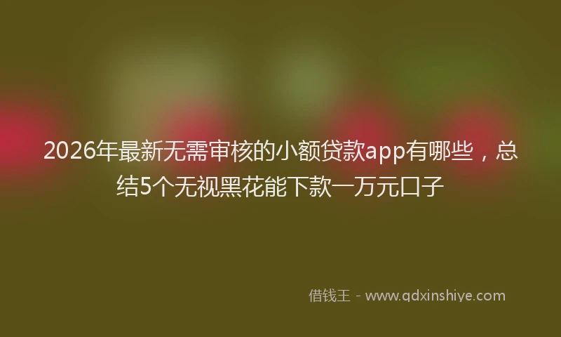 2026年最新无需审核的小额贷款app有哪些，总结5个无视黑花能下款一万元口子
