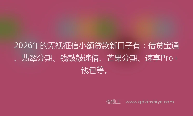 2026年的无视征信小额贷款新口子有：借贷宝通、翡翠分期、钱鼓鼓速借、芒果分期、速享Pro+钱包等。