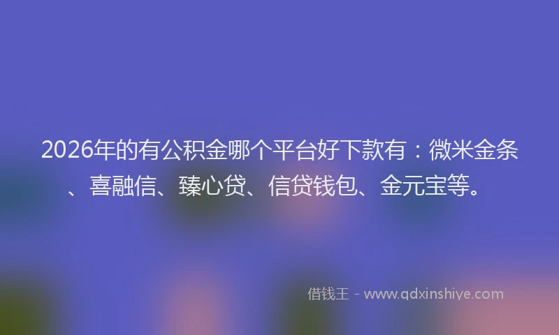 2026年的有公积金哪个平台好下款有：微米金条、喜融信、臻心贷、信贷钱包、金元宝等。