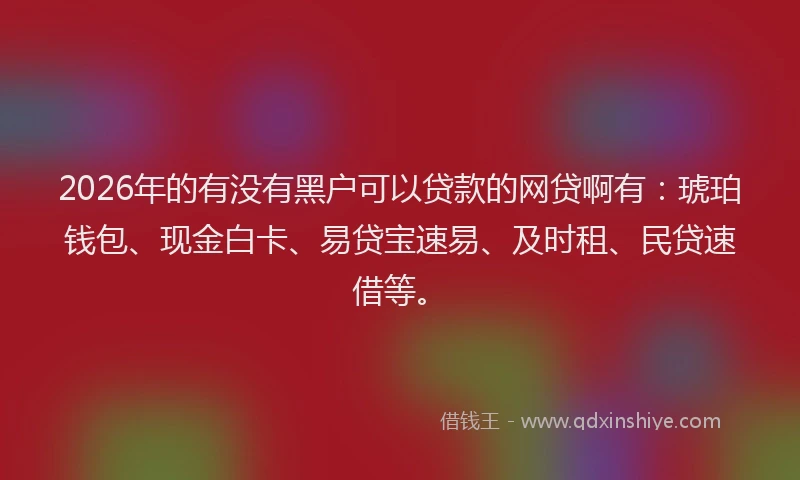 2026年的有没有黑户可以贷款的网贷啊有：琥珀钱包、现金白卡、易贷宝速易、及时租、民贷速借等。