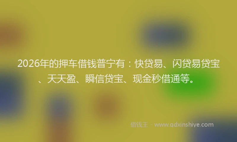 2026年的押车借钱普宁有：快贷易、闪贷易贷宝、天天盈、瞬信贷宝、现金秒借通等。