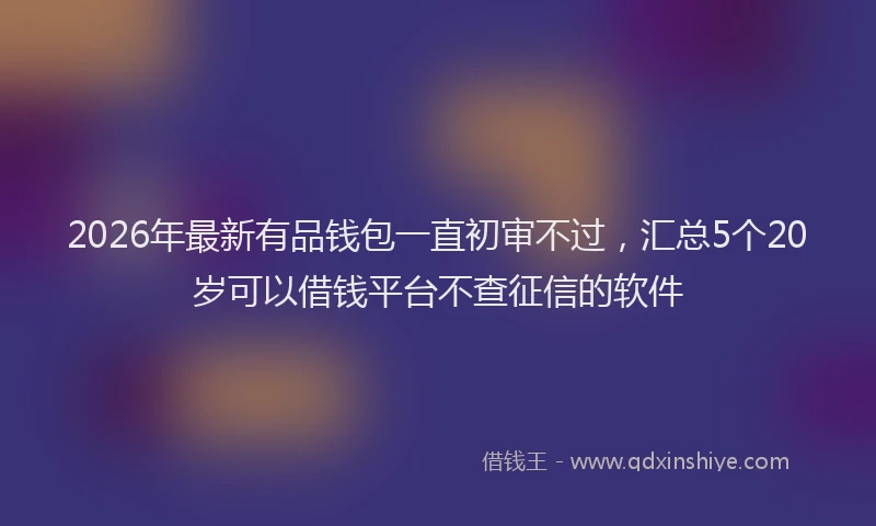 2026年最新有品钱包一直初审不过，汇总5个20岁可以借钱平台不查征信的软件