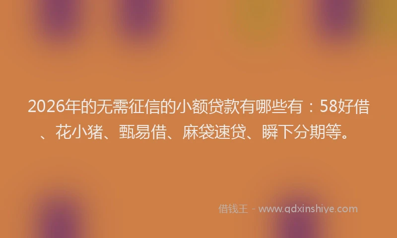 2026年的无需征信的小额贷款有哪些有：58好借、花小猪、甄易借、麻袋速贷、瞬下分期等。