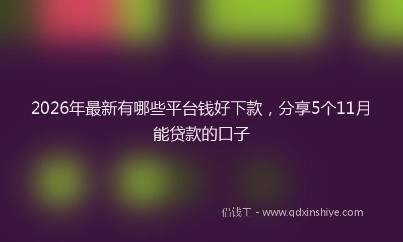 2026年最新有哪些平台钱好下款，分享5个11月能贷款的口子
