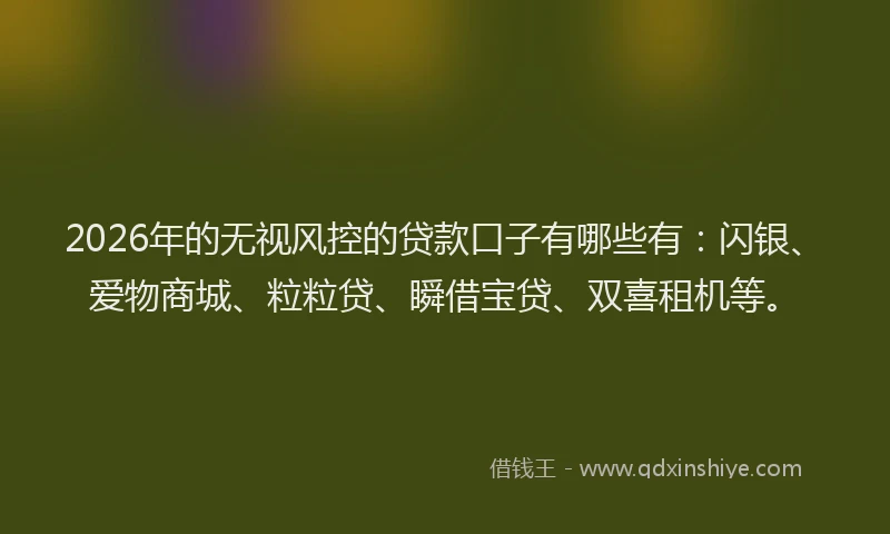 2026年的无视风控的贷款口子有哪些有：闪银、爱物商城、粒粒贷、瞬借宝贷、双喜租机等。