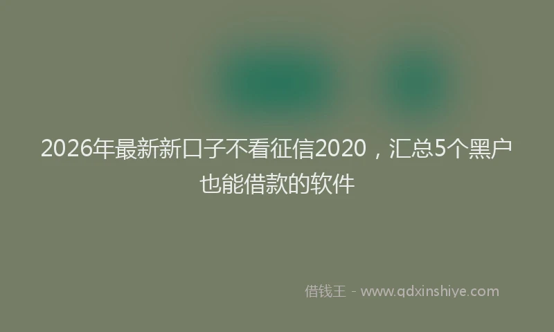 2026年最新新口子不看征信2020，汇总5个黑户也能借款的软件