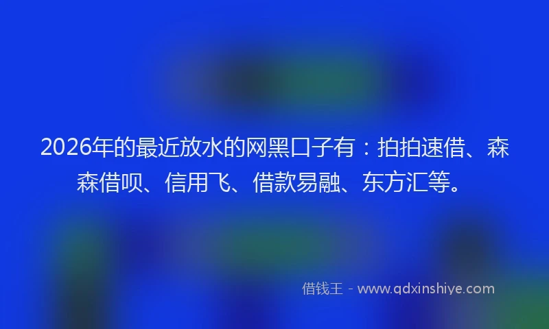 2026年的最近放水的网黑口子有：拍拍速借、森森借呗、信用飞、借款易融、东方汇等。