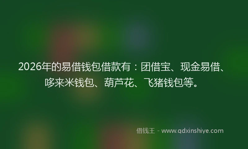 2026年的易借钱包借款有：团借宝、现金易借、哆来米钱包、葫芦花、飞猪钱包等。