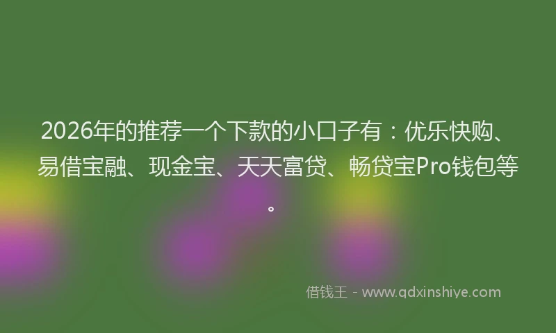 2026年的推荐一个下款的小口子有：优乐快购、易借宝融、现金宝、天天富贷、畅贷宝Pro钱包等。