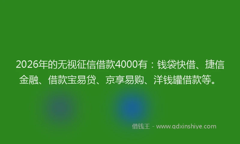 2026年的无视征信借款4000有：钱袋快借、捷信金融、借款宝易贷、京享易购、洋钱罐借款等。