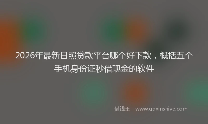 2026年最新日照贷款平台哪个好下款，概括五个手机身份证秒借现金的软件