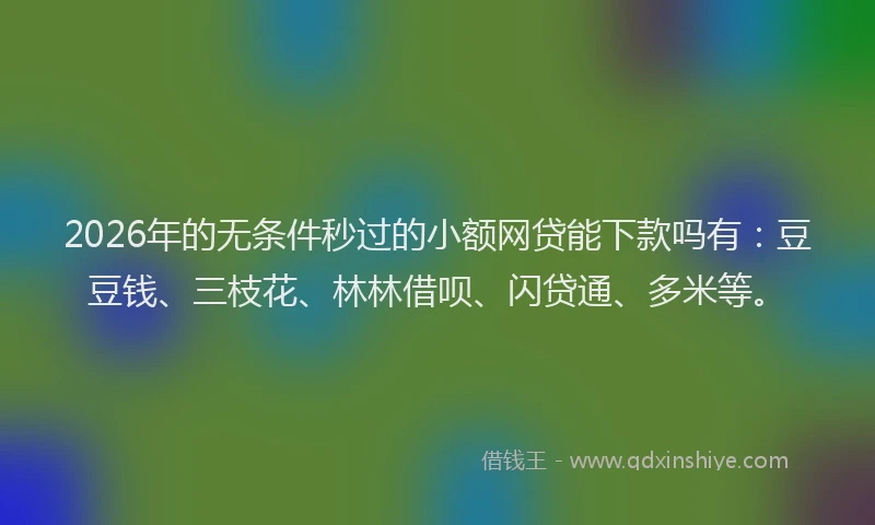 2026年的无条件秒过的小额网贷能下款吗有：豆豆钱、三枝花、林林借呗、闪贷通、多米等。