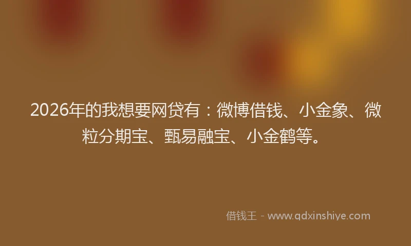 2026年的我想要网贷有：微博借钱、小金象、微粒分期宝、甄易融宝、小金鹤等。